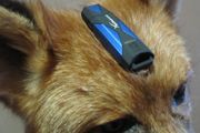 Les Kingston DataTraveler HyperX 3.0