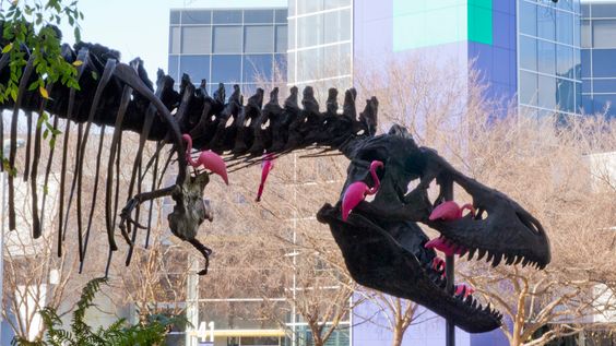 Hils på Stan. Stan er en Tyrannosaurus Rex, og han digger rosa flamingoer. (Foto: Jørgen Elton Nilsen)