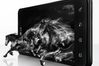 LG Optimus 3D Max
