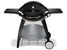 Weber Q 300