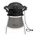 Weber Q 240