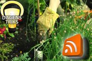 Les Slik blåser du liv i podcastene