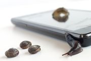 Les LG Optimus L7