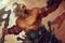 Anmeldelse: Diablo III (Mac/PC)
