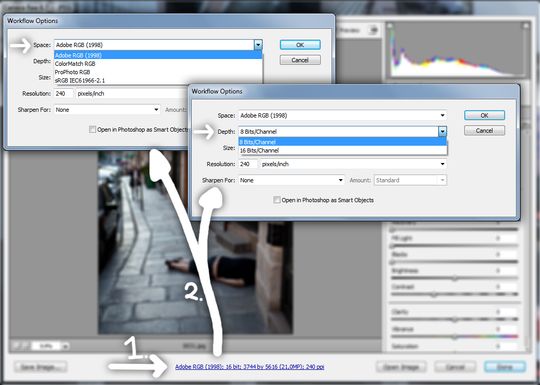 Skjermbilde som viser muligheten for valg av fargerom og bit-dybde under konvertering med Adobe Camera Raw