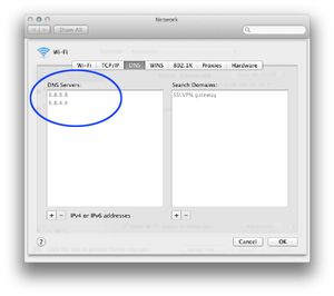 Slik finner du DNS-adressen på en Mac. Klikk for større versjon.