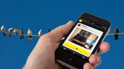Les Ny app kommuniserer med fuglekvitter