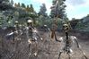 The Elder Scrolls IV: Oblivion