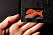 Fraunhofer utvikler transparent OLED