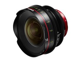 Canon EF 14mm T3.1.