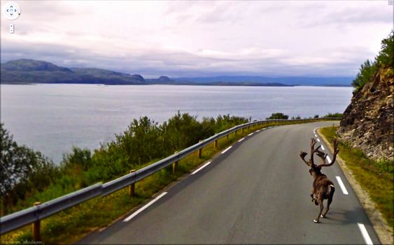 Rudolf er redd for bilen?