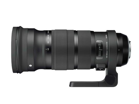 Sigma 120-300mm f/2.8 DG OS HSM.