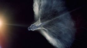 GJENNOM LYDMUREN: Ingeniørene har regnet ut at Felix Baumgartner vil være det første mennesket til å bryte lydmuren 35 sekunder etter at han forlater kapselen.
