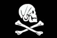 Sverige får sitt eget piratparti