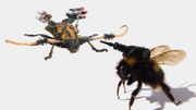 Les Disse insektene vil drepe deg
