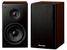 Pioneer S-CN301-LR