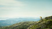 Les Raske tips til sammensatte bilder