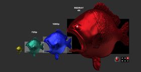 4K-fisken spiser opp de andre puslingene.