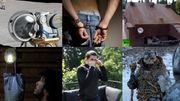 Les Fikk du med deg disse Teknofil-sakene?