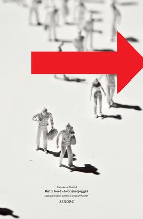 Boken «Katt i treet. Hvor skal jeg gå?» setter fokus på ansvar og fallgruber i sosiale media.