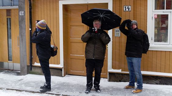 "Akamister i snøen," tatt av Eivind Hauger på fototreff i Oslo.