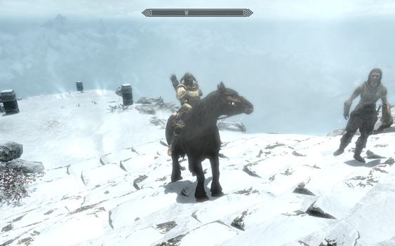 The Elder Scrolls: Skyrim er ett av spillene forumjentene spiller.