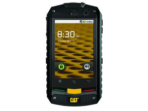 Cat B10