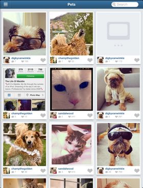 Padgram.