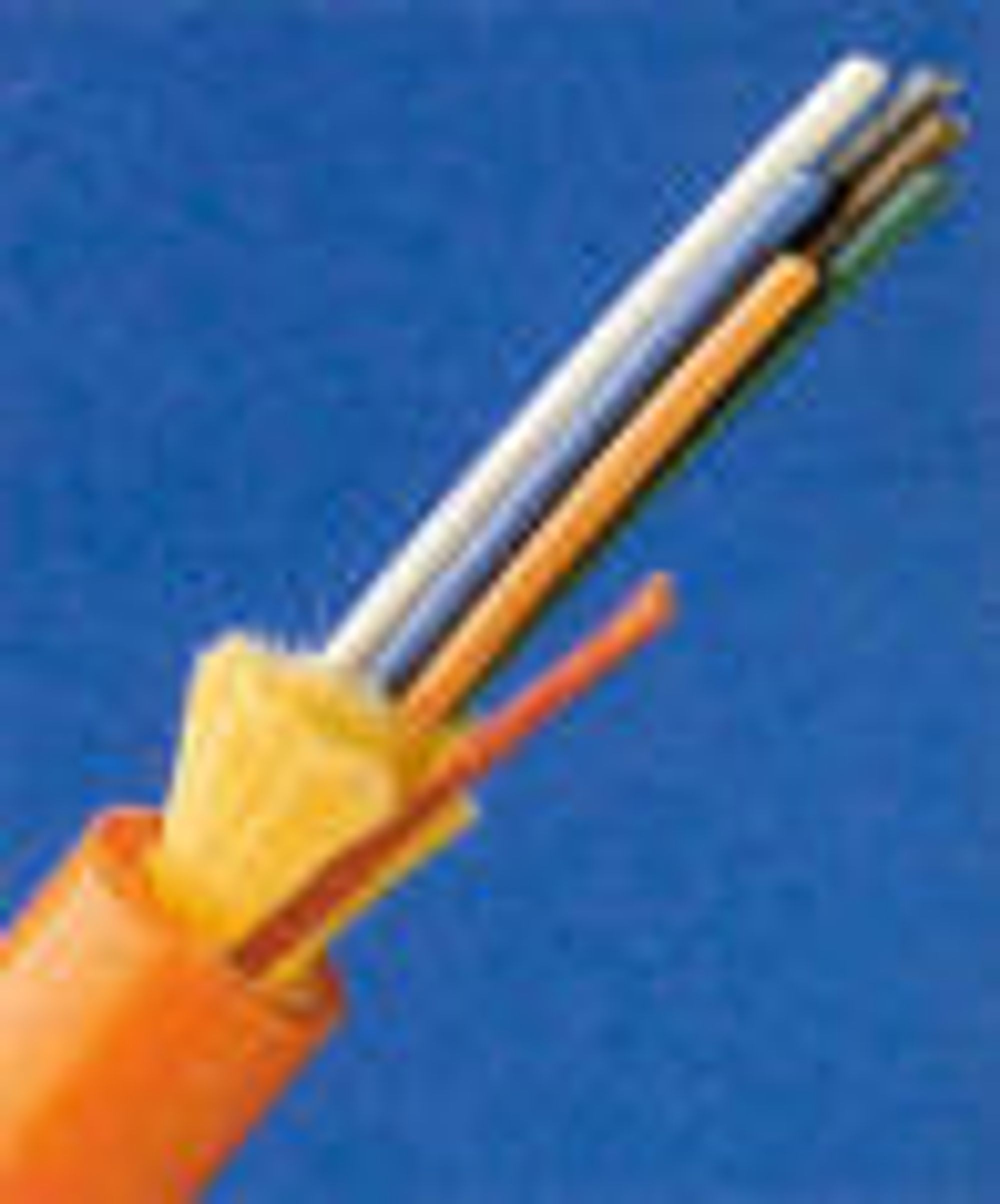 Fiber billigere enn koaks