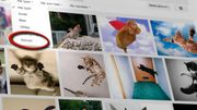 Les Endelig lar Google deg søke etter gif-bilder