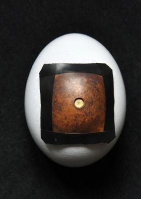Egg-kamera med objektiv.Innsiden malt med flytende foto-kjemikalier.