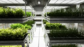 Plantefarm.