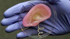 Et menneskeøre, laget av en 3D-printer.