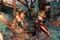 Blodig action i Shadow Warrior