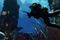 Store nyheter for Call of Duty: Ghosts