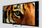 N� slippes Sonys 4K-TV p� det norske markedet