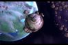 Star Wars: Empire at War