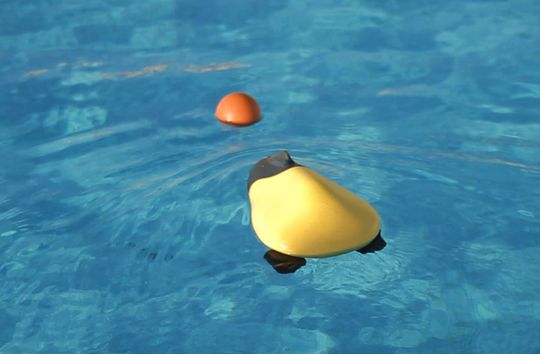 Kan også kaste ball med den.