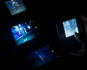 Vi fikk demonstrert effekten av en ekstra stor bildebrikke, mekanisk stabilisering og xenon-blitz.