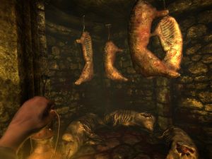 Amnesia: The Dark Descent.