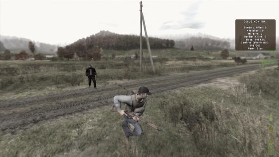 Skjermbilde fra DayZ.