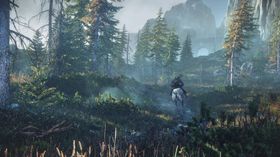 The Witcher 3: Wild Hunt vil by på store og frodige område.