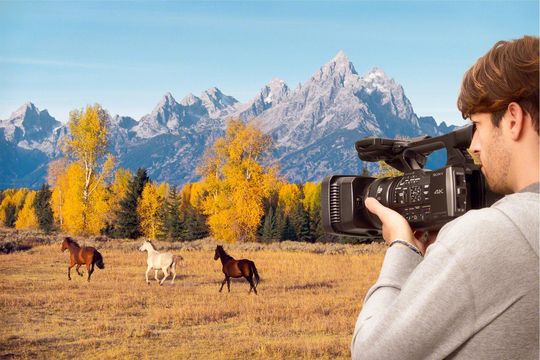 Sony Handycam FDR-AX1E kan også brukes til å filme hester.