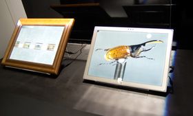Roter eller zoom inn, for eksemlep på innsektet til høyre.