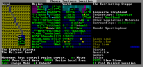 Dwarf Fortress.