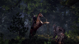 «I'm a witcher». Jada, jada, vi vet.