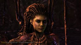 Blizzards nyeste er StarCraft II-pakken Heart of the Swarm.