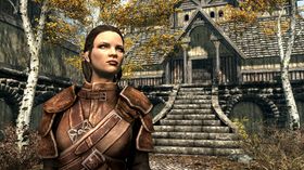 The Elder Scrolls Online kommer ikke til å se slik ut.