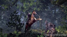 The Witcher 3. (Bilde: Game Informer)