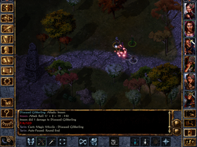 Baldur's Gate: Enhanced Edition.